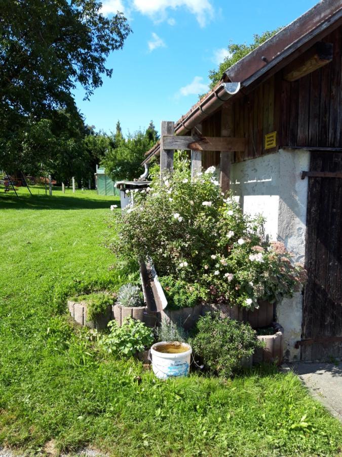 Ferienwohnung Im Seidlerhof Mit Balkon Und Garten Röhrnbach Dış mekan fotoğraf