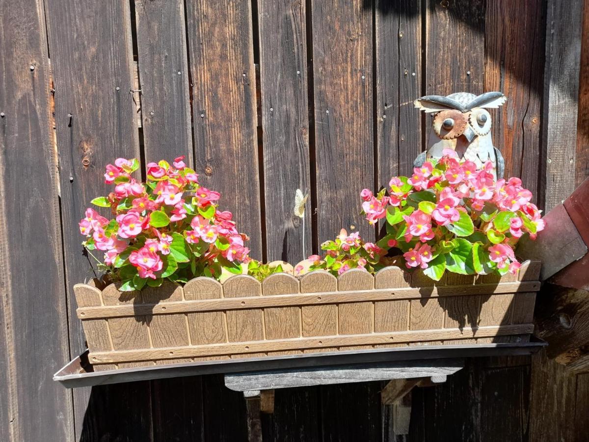 Ferienwohnung Im Seidlerhof Mit Balkon Und Garten Röhrnbach Dış mekan fotoğraf