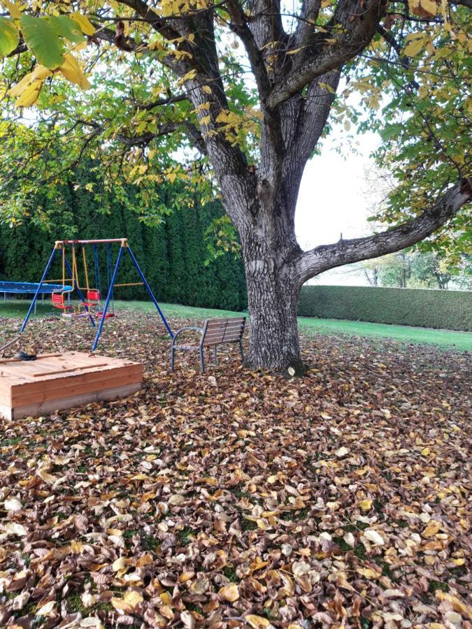 Ferienwohnung Im Seidlerhof Mit Balkon Und Garten Röhrnbach Dış mekan fotoğraf