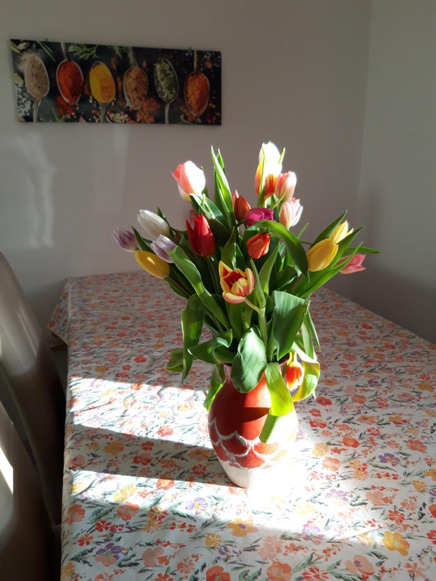 Ferienwohnung Im Seidlerhof Mit Balkon Und Garten Röhrnbach Dış mekan fotoğraf